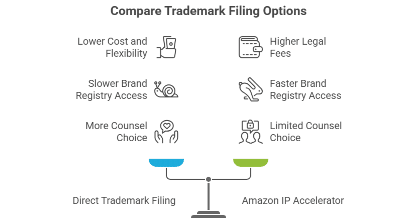 Pros and Cons of IP Accelerator